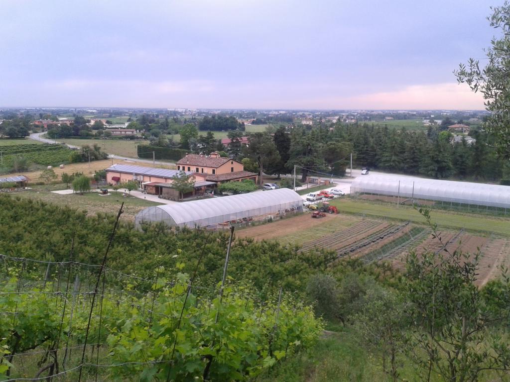 Agriturismo Perugini Bed & Breakfast Cesena Exterior foto