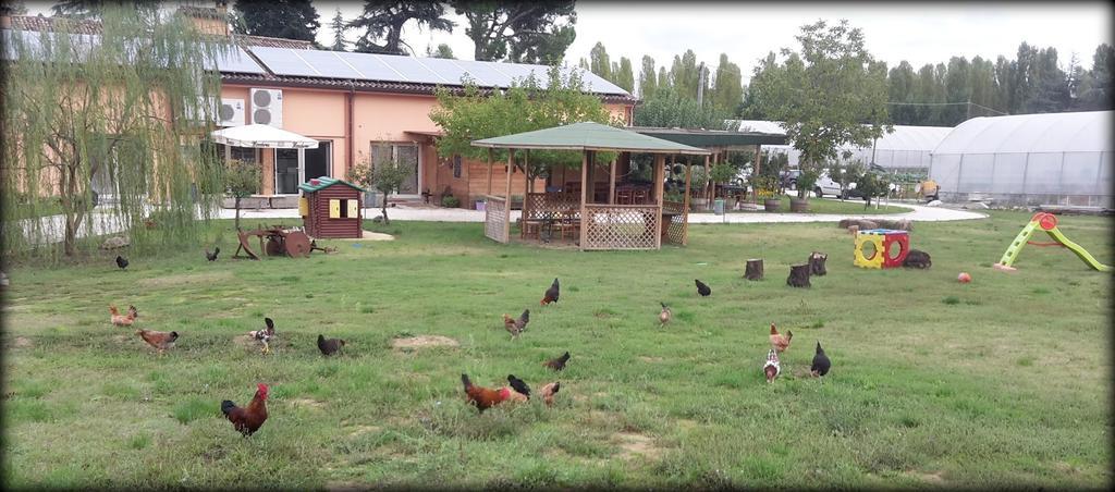 Agriturismo Perugini Bed & Breakfast Cesena Exterior foto